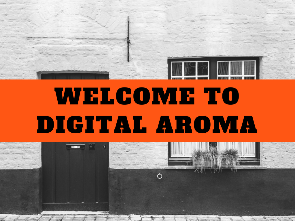 digital-marketing-services-vijayawada-digital-aroma